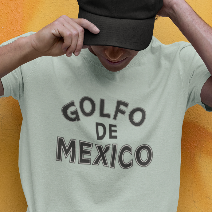 Gulf of Mexico t-shirt