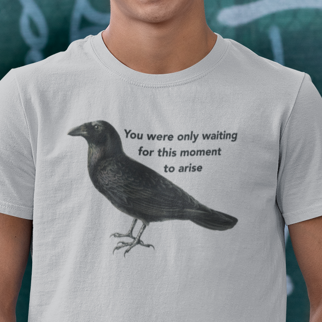 Blackbird t shirt