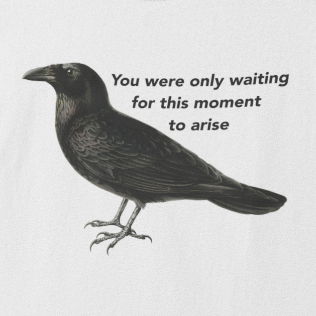 Blackbird t shirt